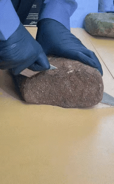 这肉发霉都成这样了，还能吃吗