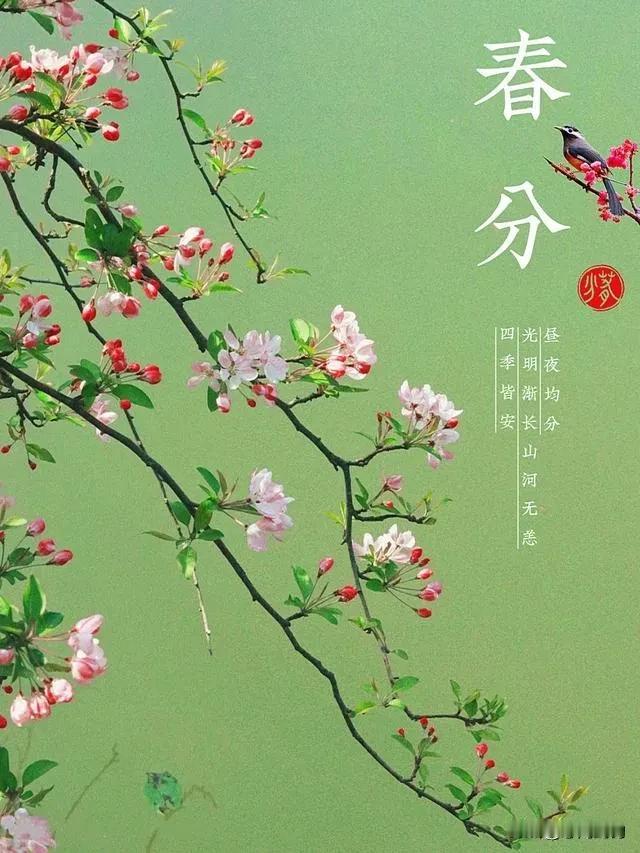 日月阳阴两均天，春半春生恰春分——今日春分，阴阳相半的智慧。仲春即到，春景怡人，