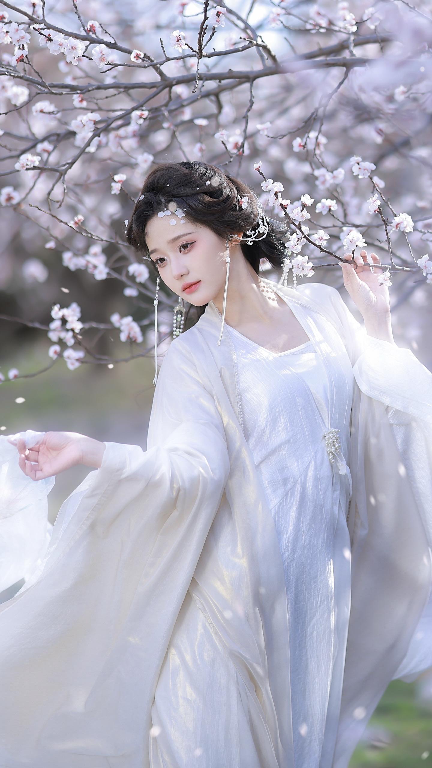 杏花吹满头～拍到了落了一半的杏花！