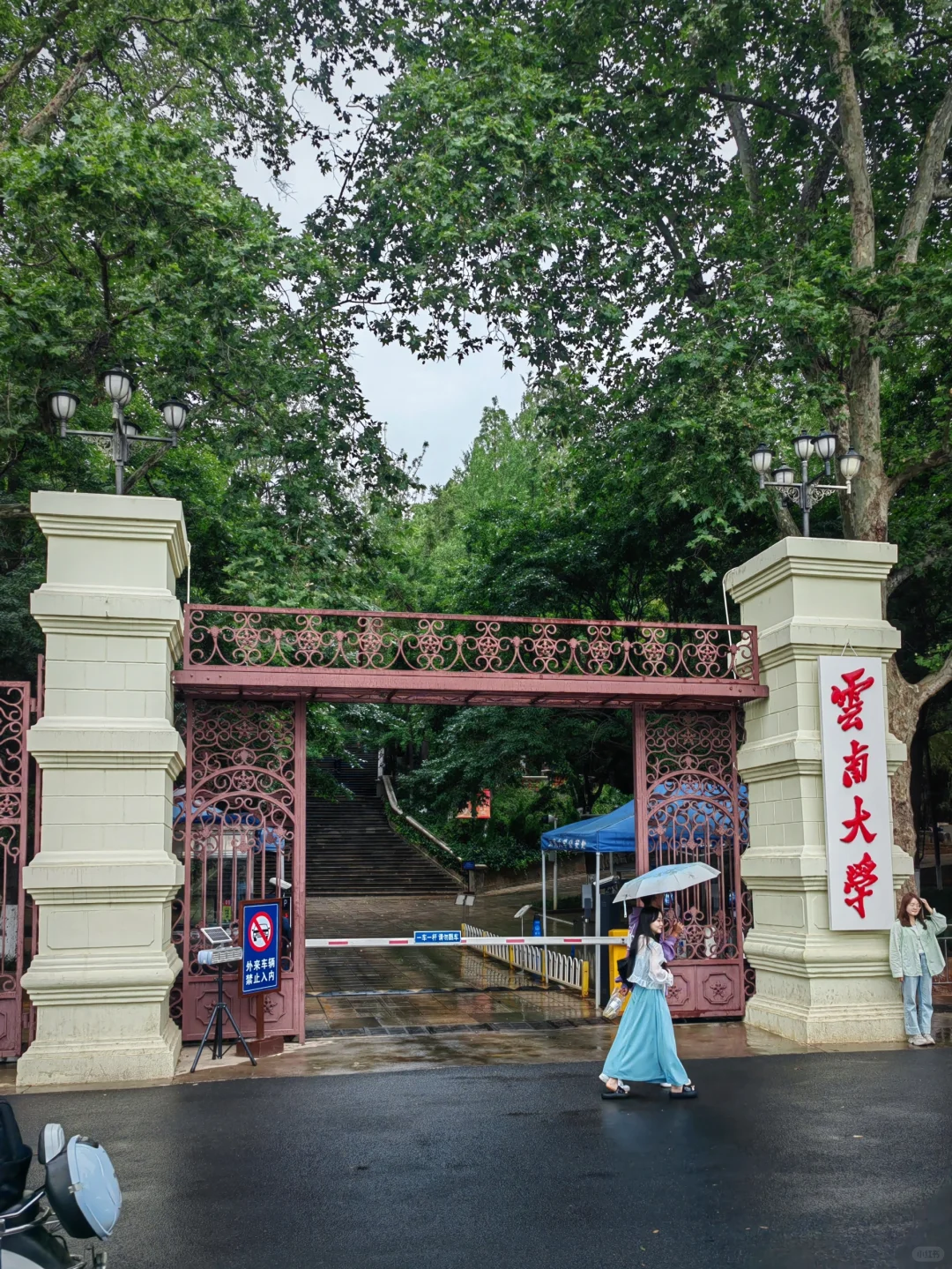 去云南大学散步才是正经事