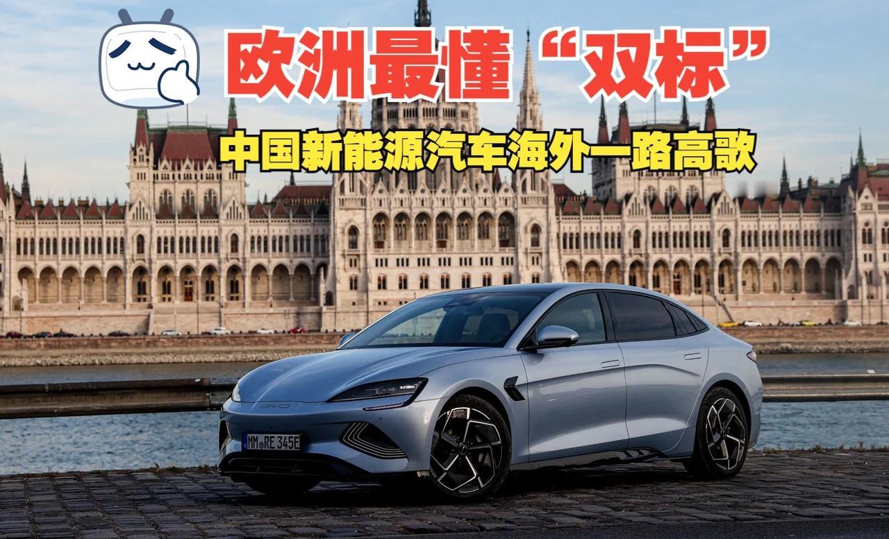 话说外国人究竟欢不欢迎中国品牌新能源汽车呢？

带着这个问题不妨来看看这条引发外