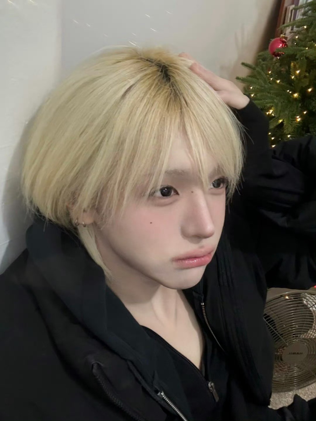 李清明  此猫很萌 