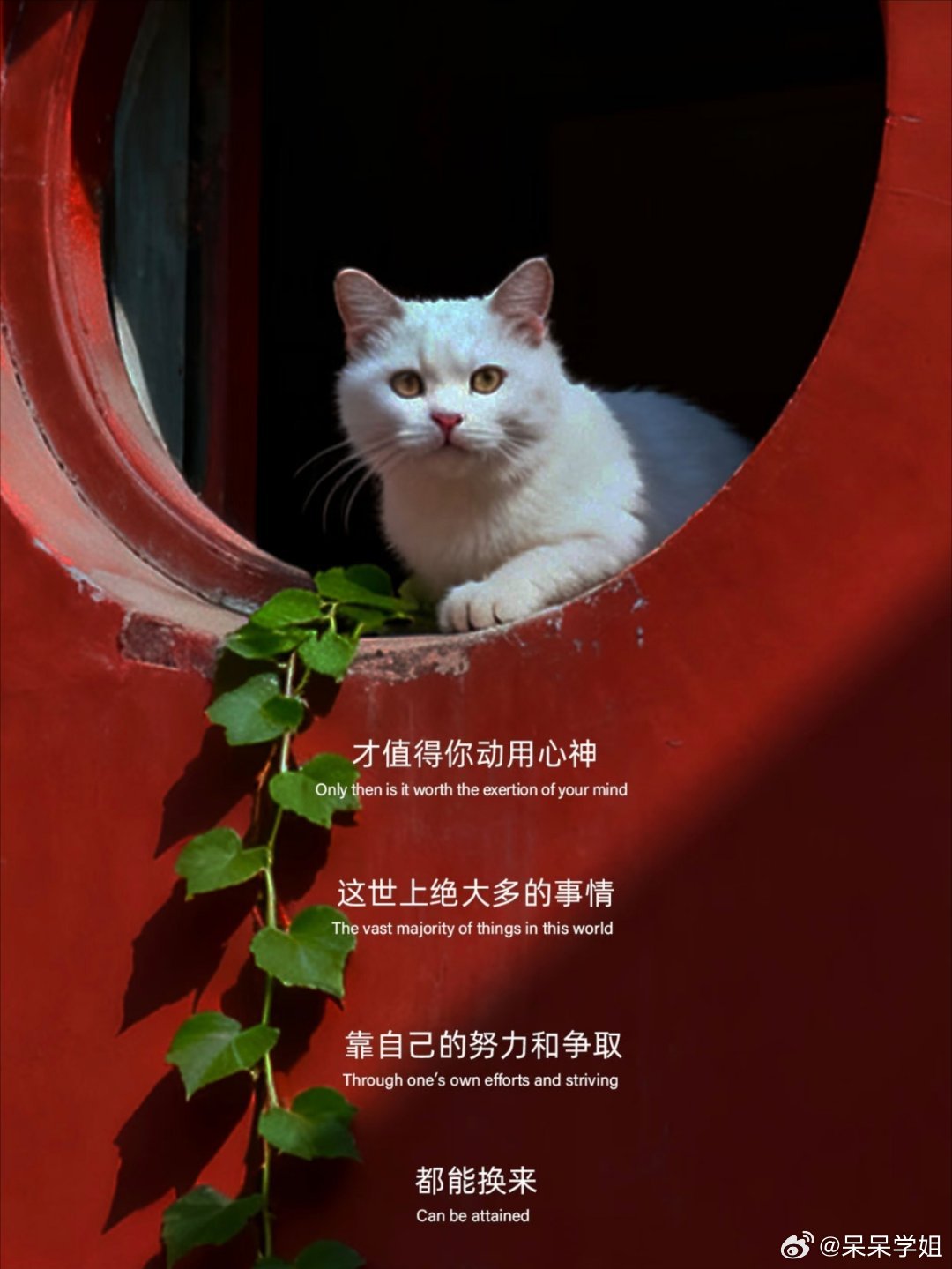 遇到正缘其实是有征兆的！ 