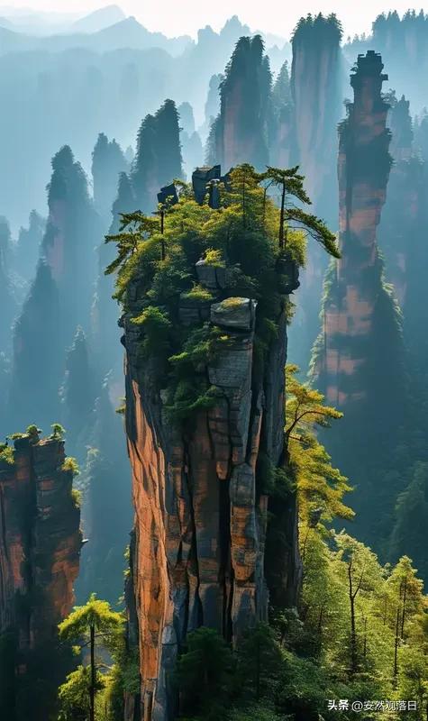 春天到了，来湖南捕捉春日的鲜活生命力再合适不过！4月2日10：00至15:30，