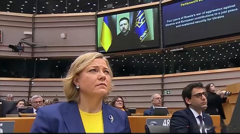 泽连斯基向欧洲议会发表视频讲话，普京无法容忍他国自由生活，呼吁欧洲必须尽快落实9