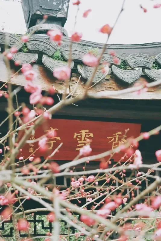鹧鸪天     慕梅幽怀
久慕寒梅傲雪游，眸中沧海暗香丘。
效颦和靖林逋意，守志