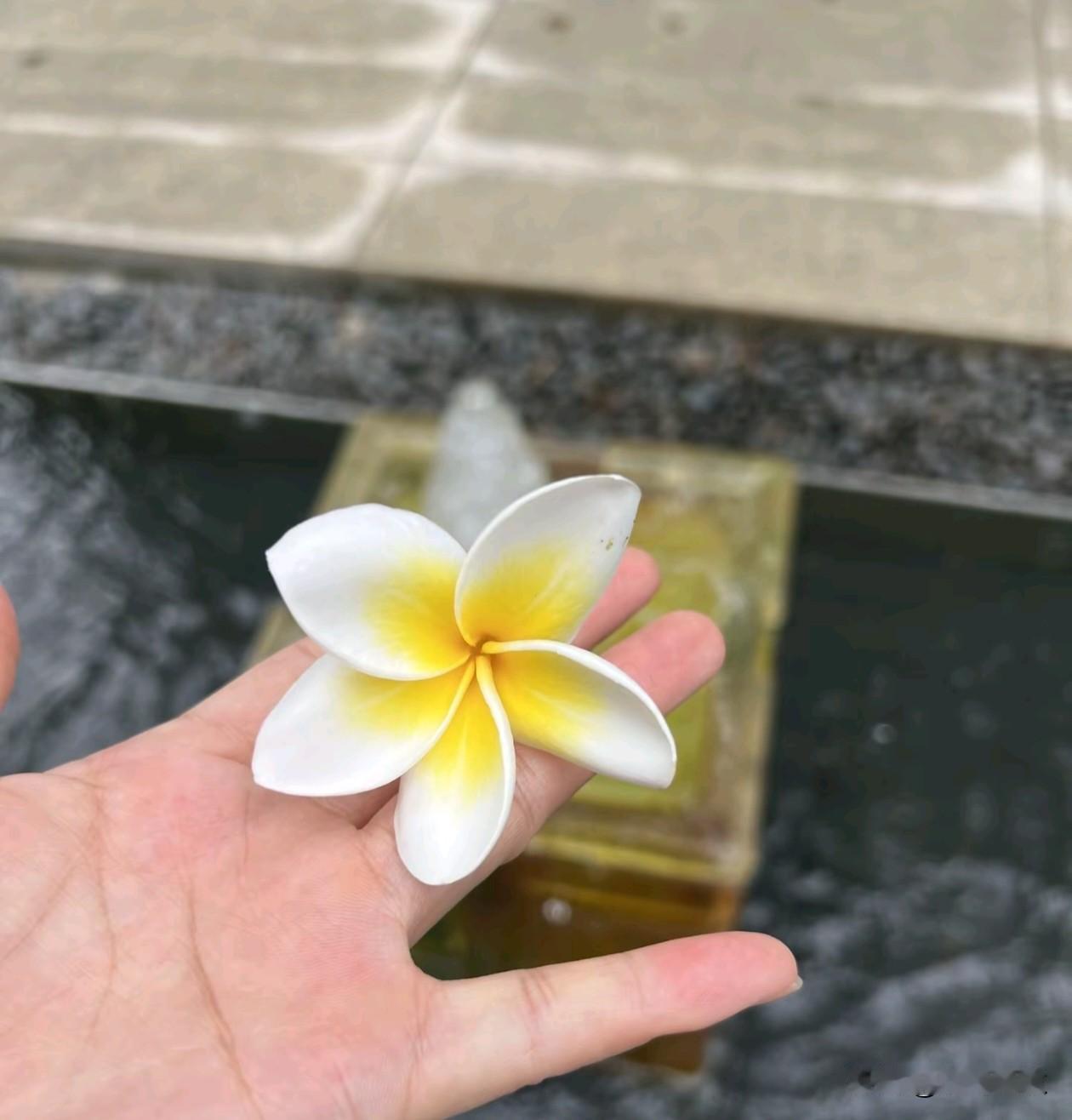 经营自己永远比，
拯救关系更有价值。