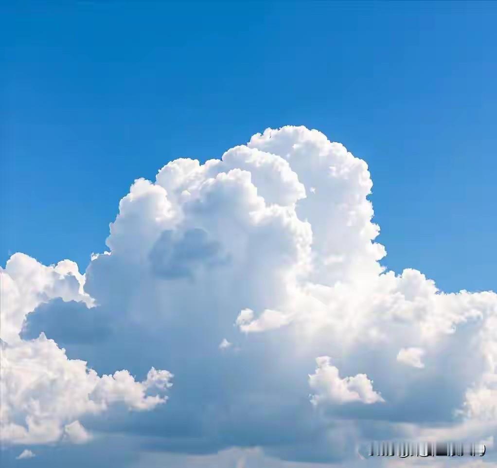 我超爱分享美景，尤其是天空的蓝天白云。有次去草原，那景色绝了！抬头是澄澈蓝天，云