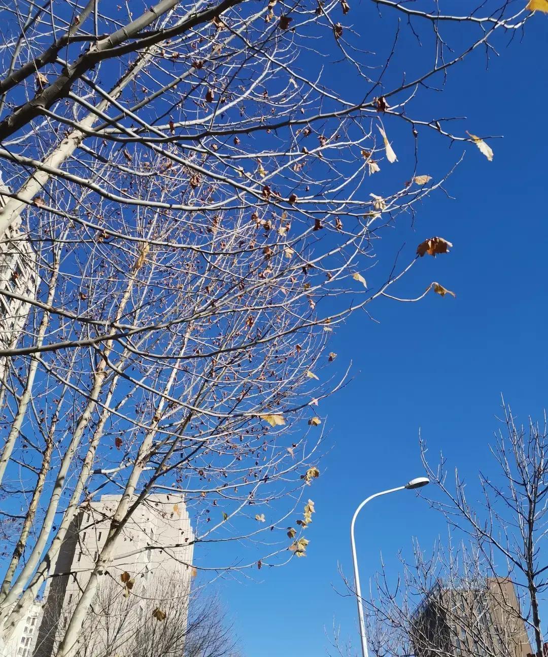 香港总决赛开打，莎头混双首战碰印度组合。这印度队世界排名第九，抽签后就愁眉苦脸，