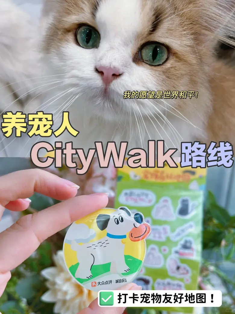 城会玩！广州养宠人才有的Citywalk路线～