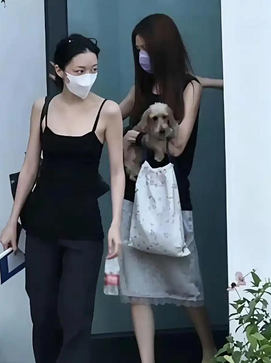 李亚鹏这次估计要笑得合不拢嘴！
原因很简单，
不是他又有代言了，是李嫣被拍到和窦