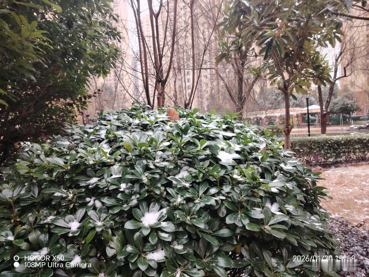 如何看待马斯克申报100万颗卫星说明马斯克有能力，有实力。