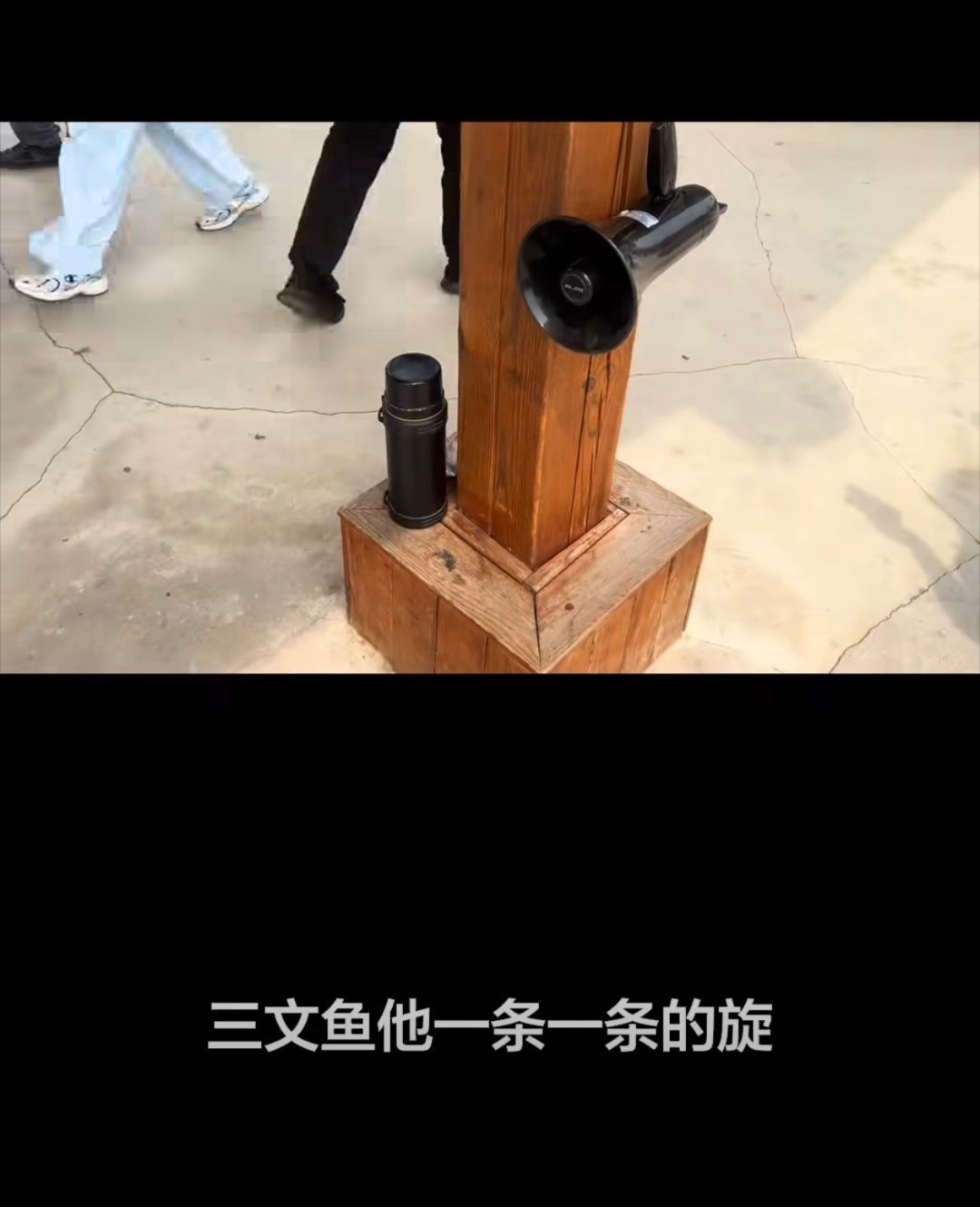 禁止向动物索要食物 本来还奇怪看我“通透”了动物园属于“在职公务员”吃的比我们普