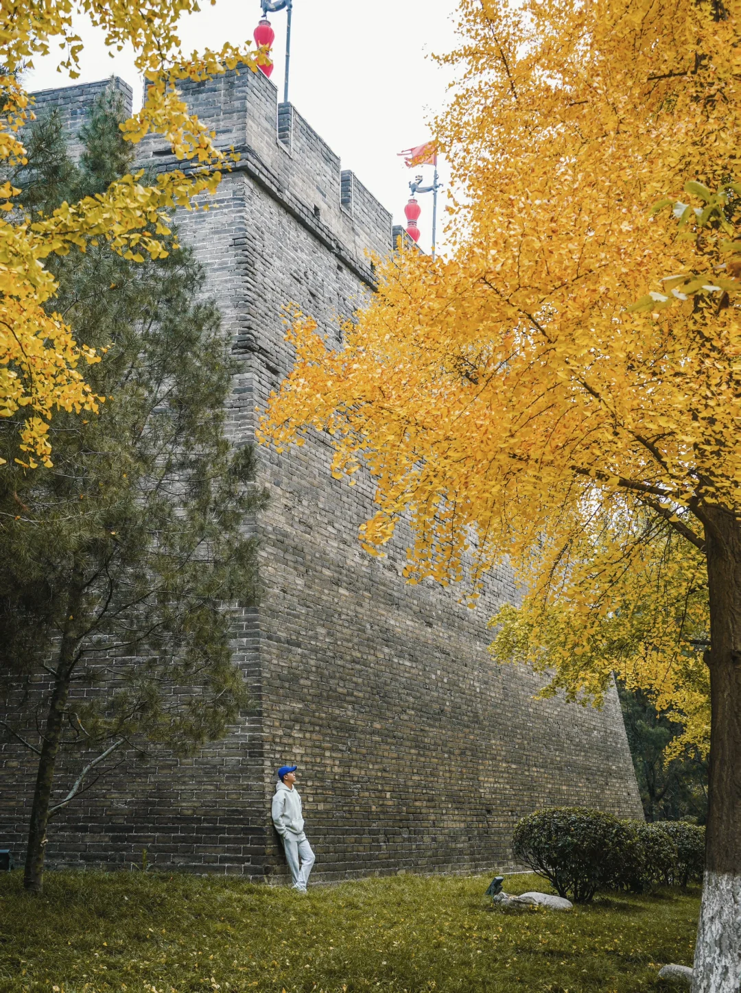 答应我❗️一定要来西安城墙根儿赏秋啊🍂11.9