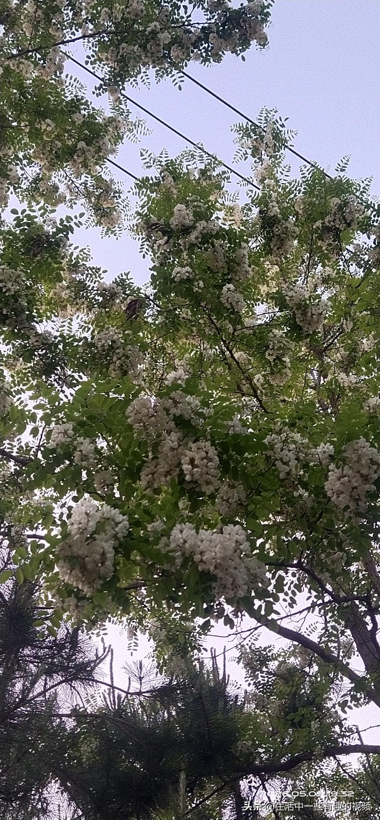 今年好难呀！
我老公是做光伏安装的，我全职带娃，在我们小县城租房住！
去年他做光