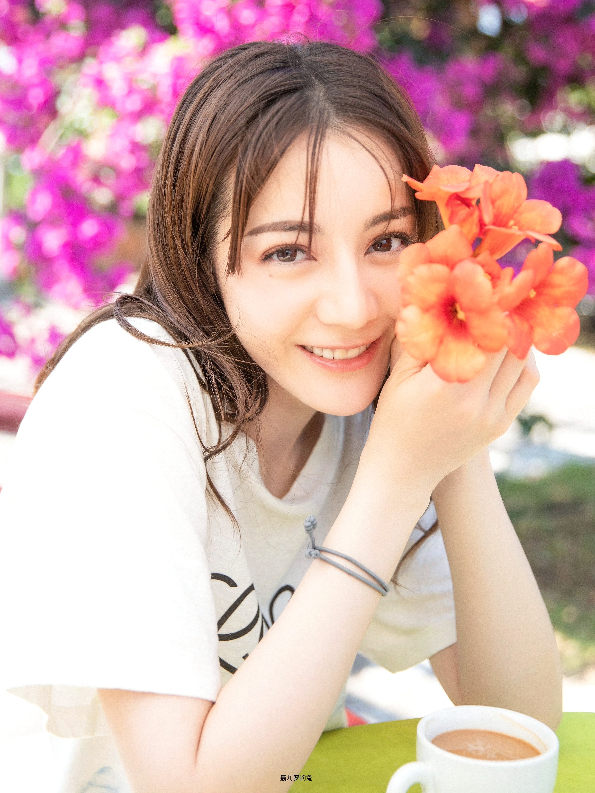 🍃漫游全世界 