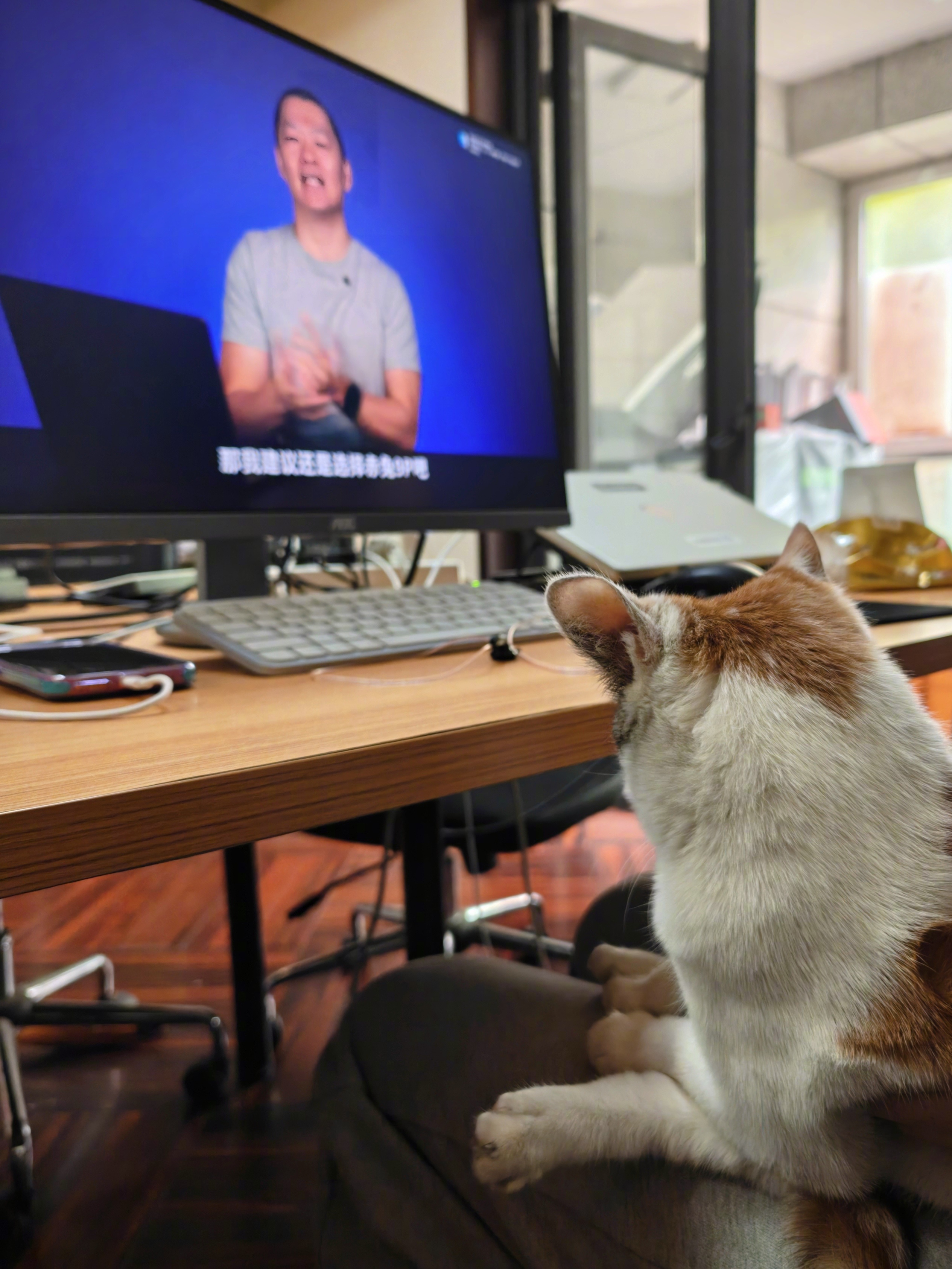 审片中，新视频预计最快明天见