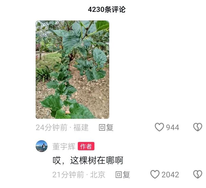 董宇辉到处给蚕宝宝找吃的[捂脸][捂脸][捂脸]
看见评论区有图片急着问在哪[捂