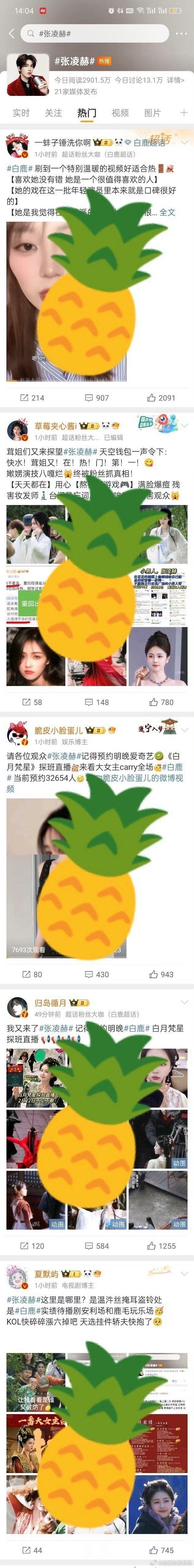 白鹿家直接把张凌赫的广场占完了？？？包括yxh评论区都占了？这是怎么回事啊[疑问