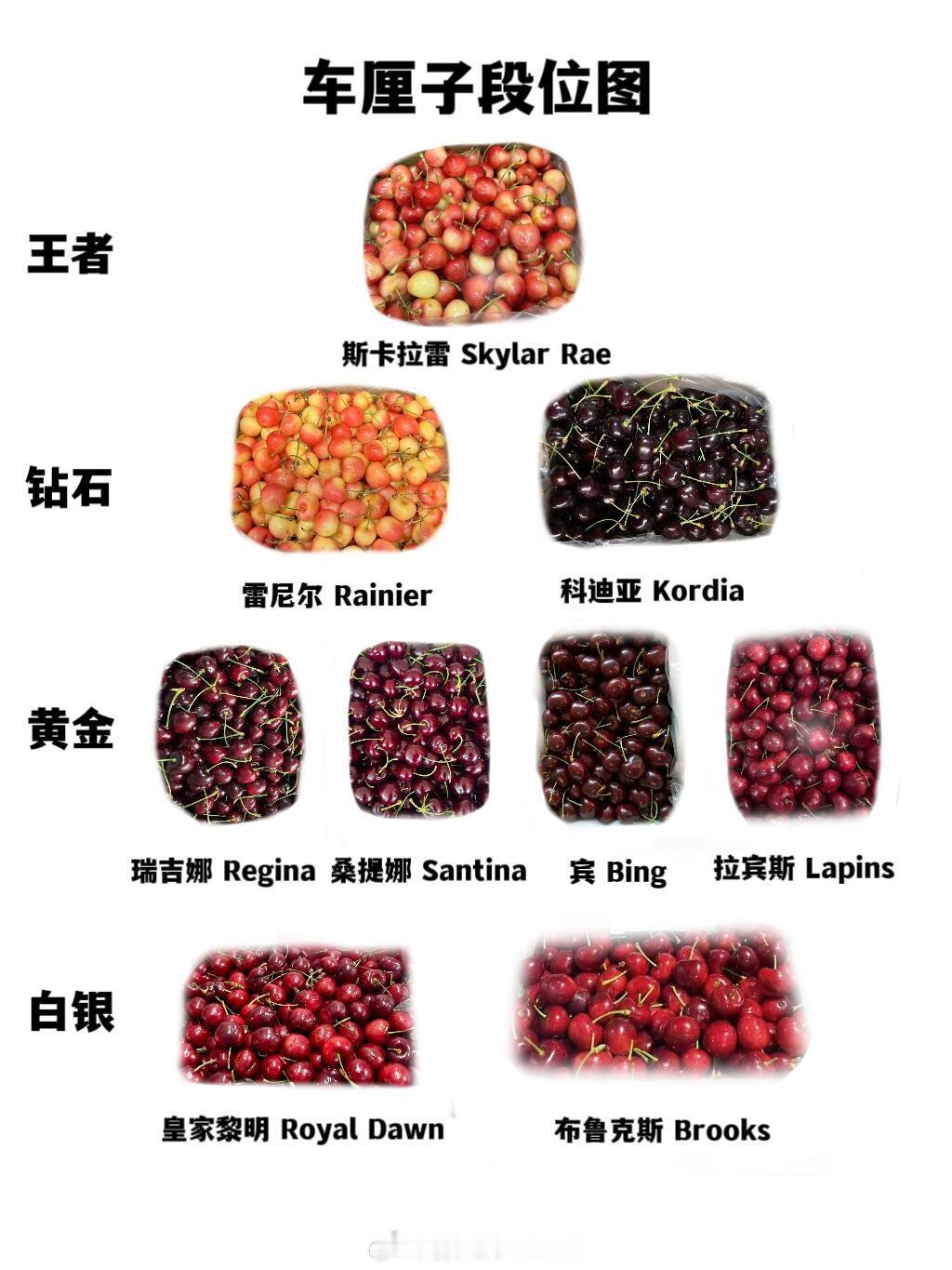 智利超92%车厘子出口中国 车厘子段位图，你最喜欢吃的是哪个品种？ 