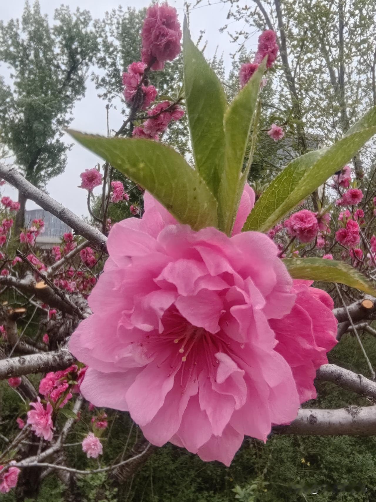 生活就是这样，各有各的难，各有各的苦。你读不懂我的愁，我体会不了你的累。每个人都