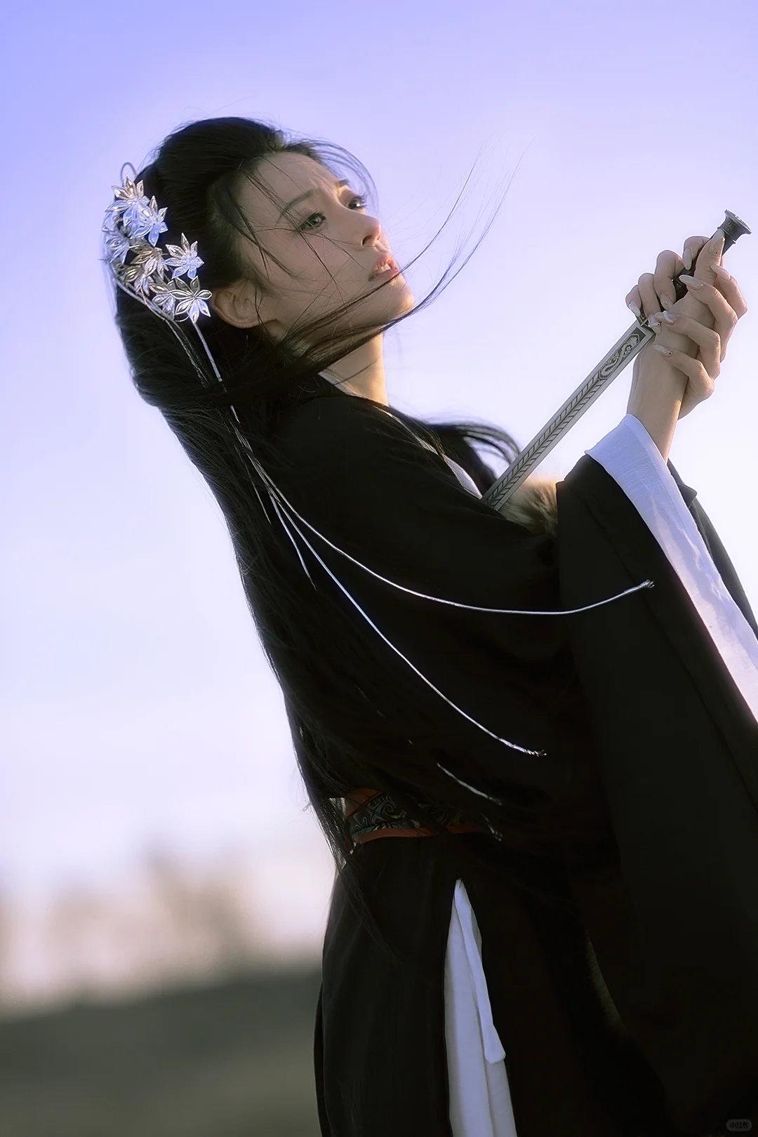 虞姬🗡️妾随大王