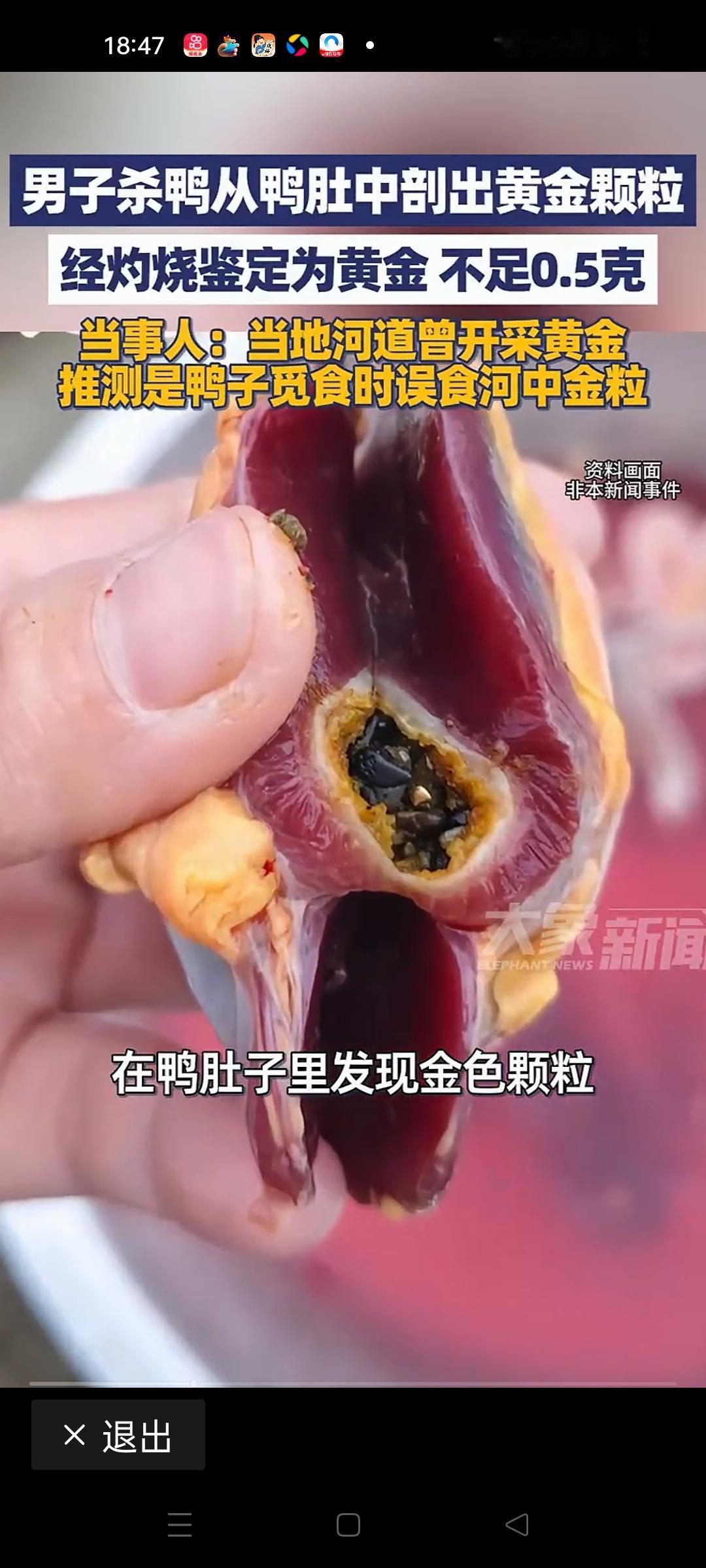 男子过年杀鸭，从鸭肚中剖出黄金颗粒——这个新闻一经曝光，立刻引爆了朋友圈和各大社