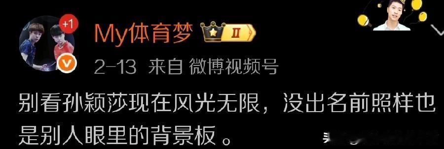新春到来之际，看到一些喜欢孙颖莎的媒体人，专门制作了一些孙颖莎这几个赛季以来一路