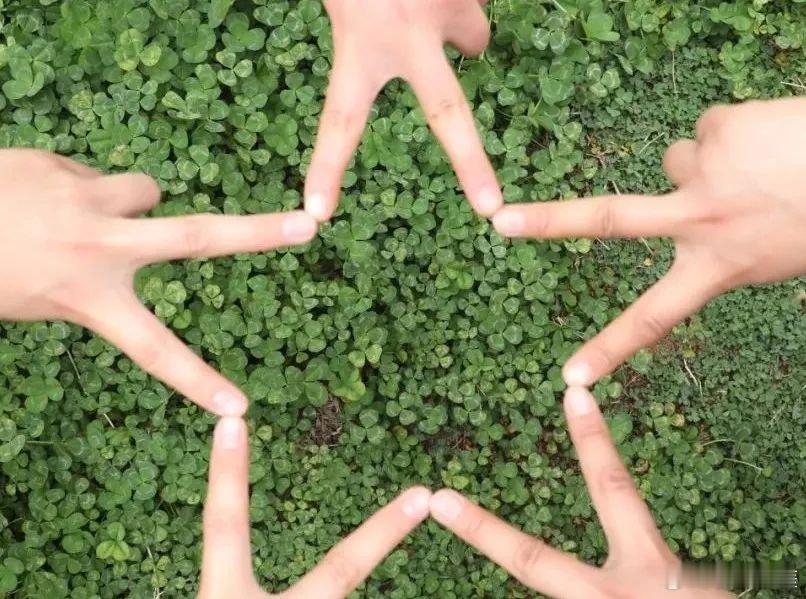 现在是打个喷嚏，打个嗝都会痛，啥时候是个头啊，好难熬啊！生活手记