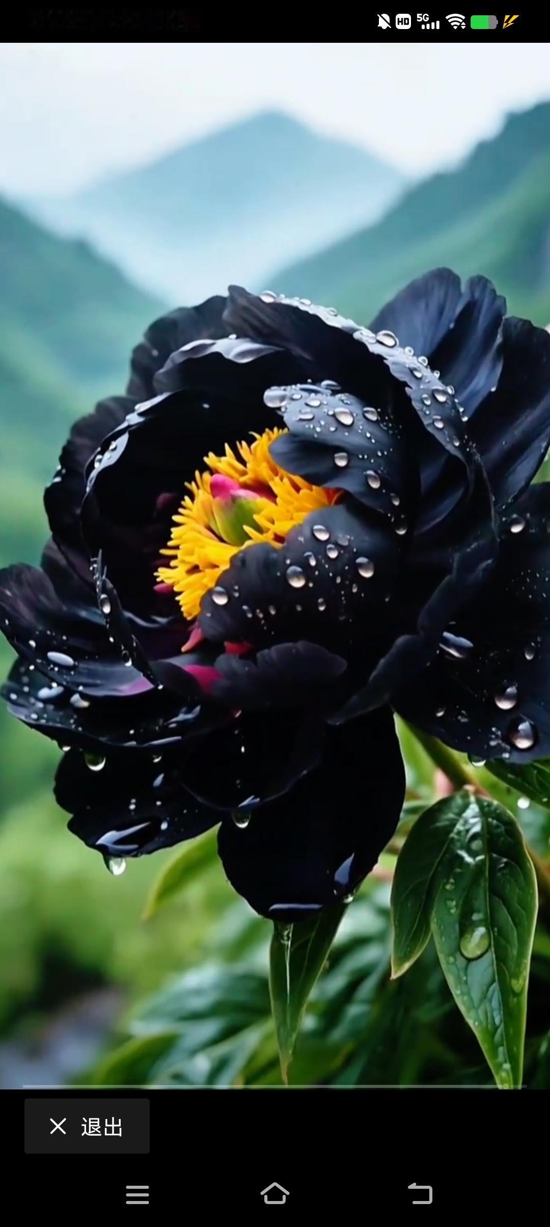 谁能对卢麒元做一个介绍与评价还行吧，有两下子，也敢说，比一般砖家好，不过没那么神