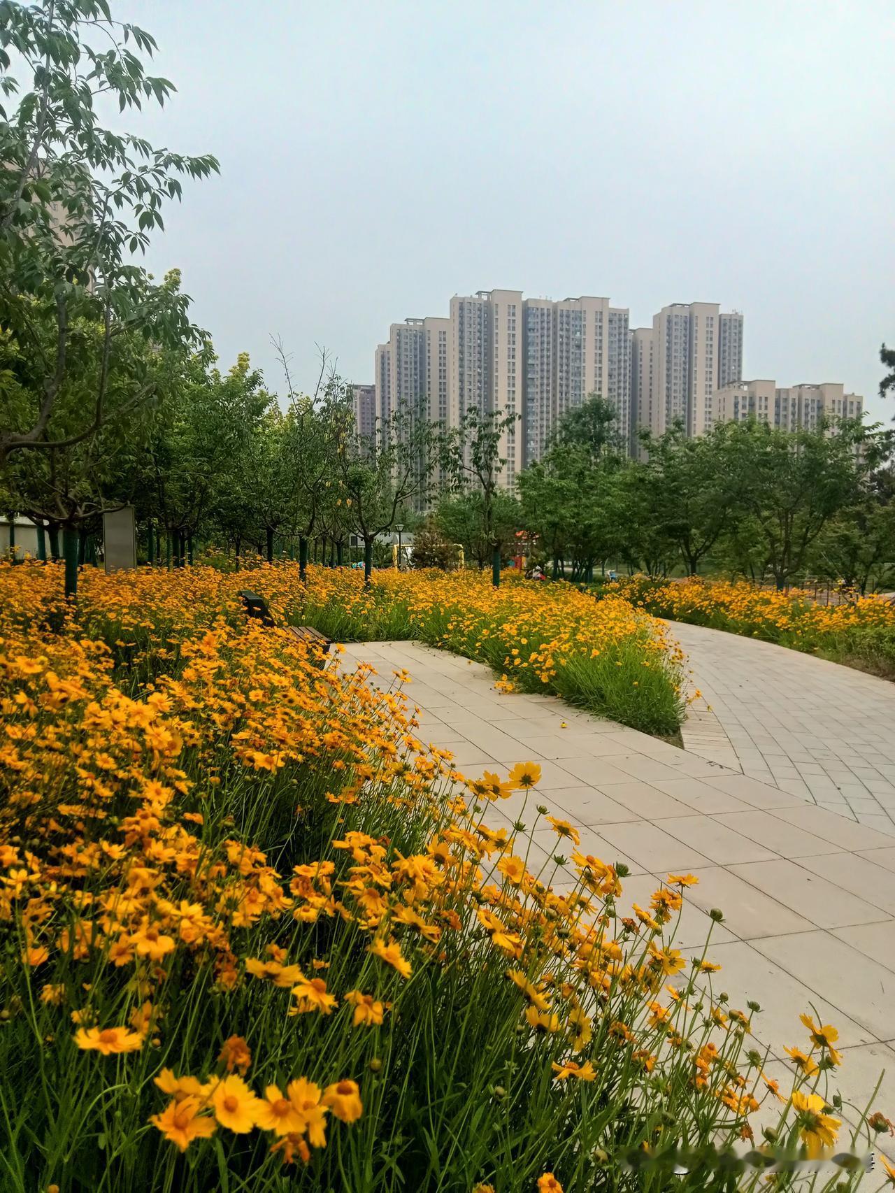 骨灰,存放在什么地方比较好?