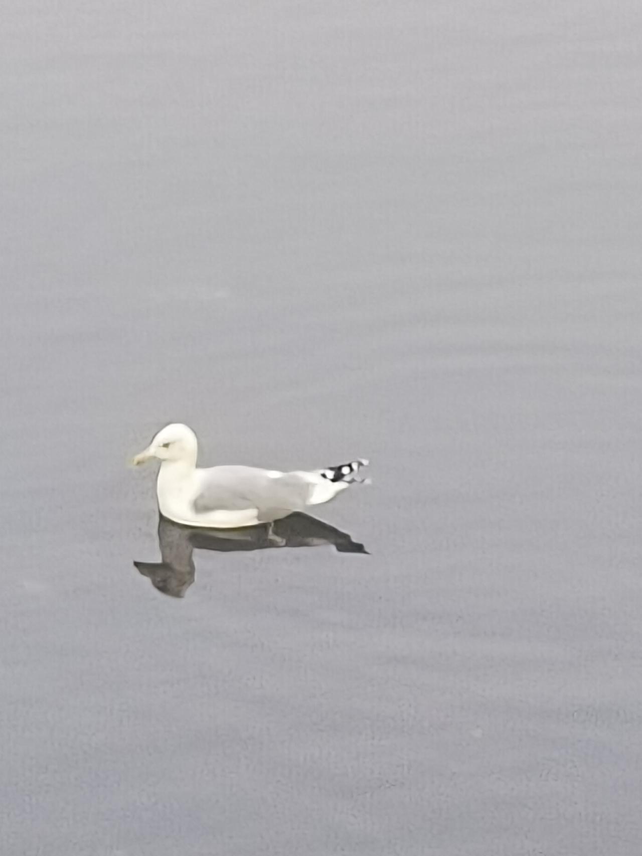 谁想打破港湾的宁静，大海必定用巨浪还以颜色！