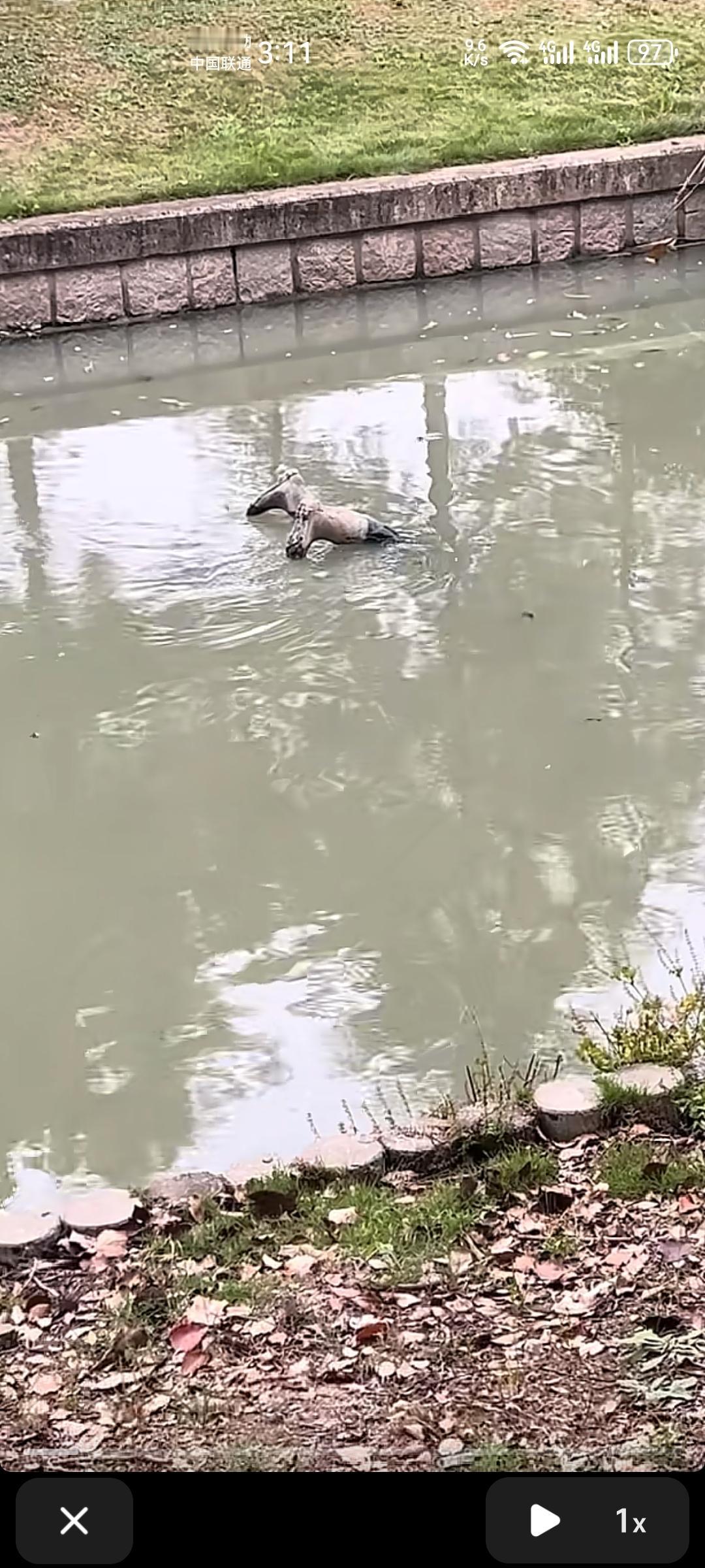 同事：今天出外勤了？
法医：嗯，今天去验了一双溺死得水胶鞋。