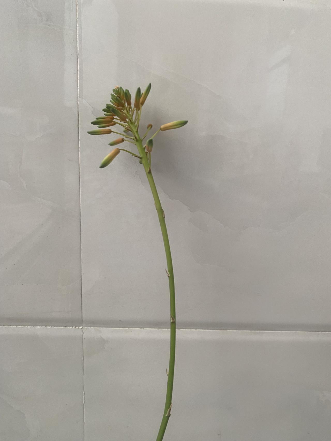 真正活得潇洒的人
不是那种财富自由
衣食无忧的人
而是从不是刻意去迎合任何人
而