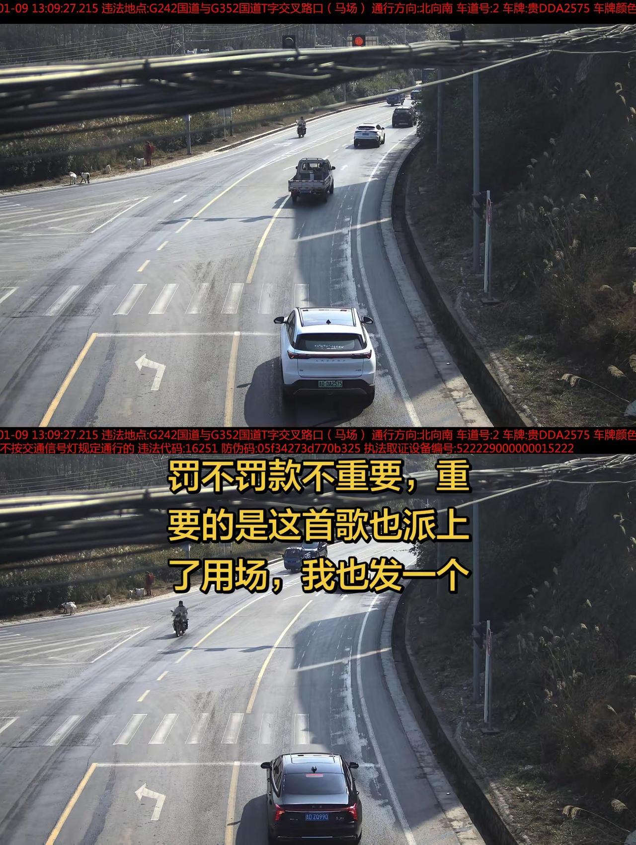 红灯不是好好的在上面挂着吗？我没撞到它