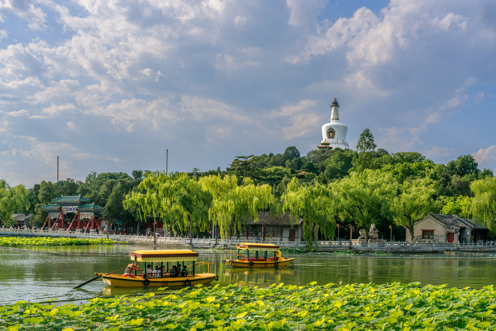 夏日悠长，绿意盎然。📍北京北海公园摄影 ​​​