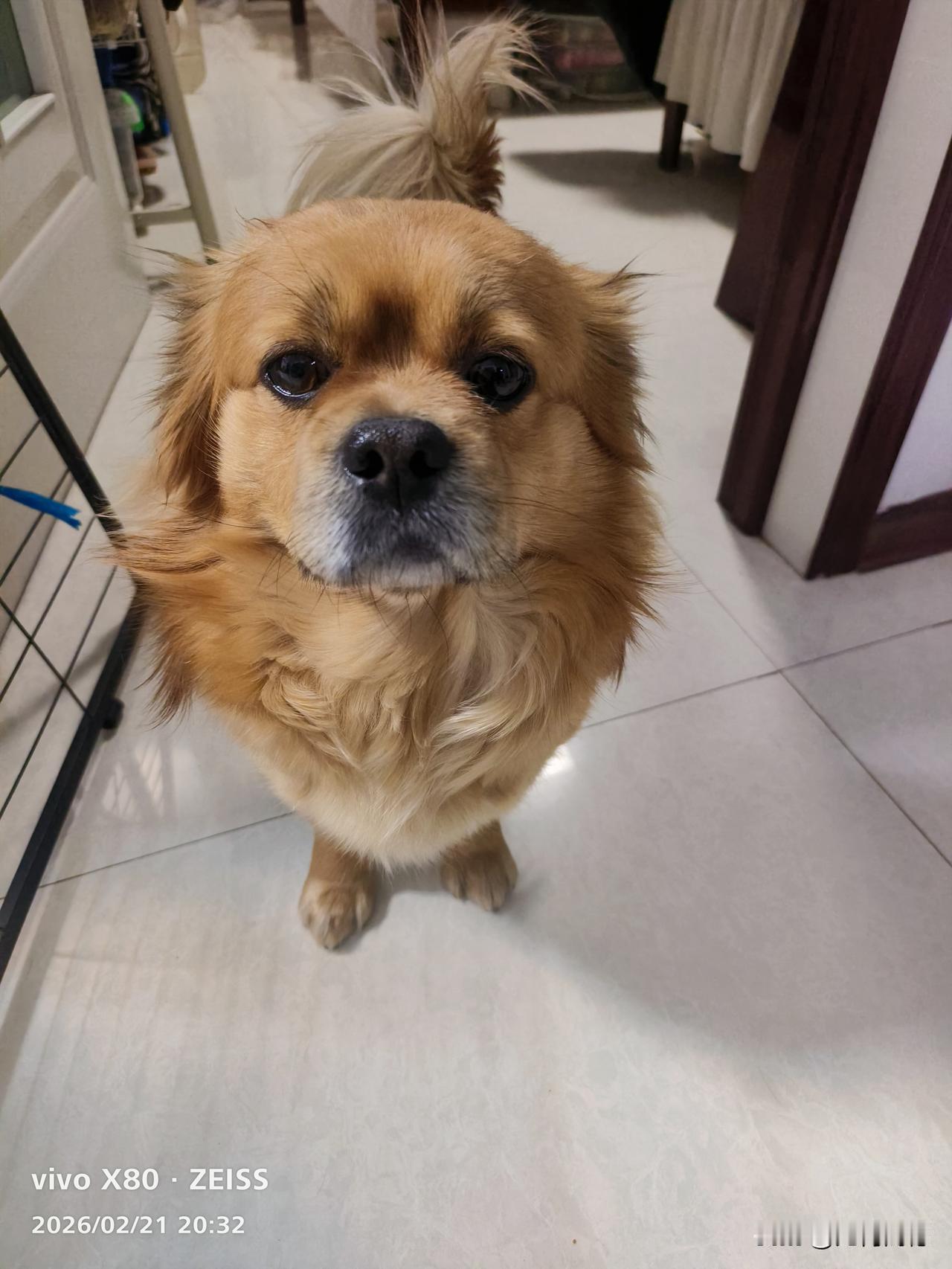 从正月初一到正月初五，基本上是没闲着，有给我拜年的，也有登门拜访的，也有发微信祝