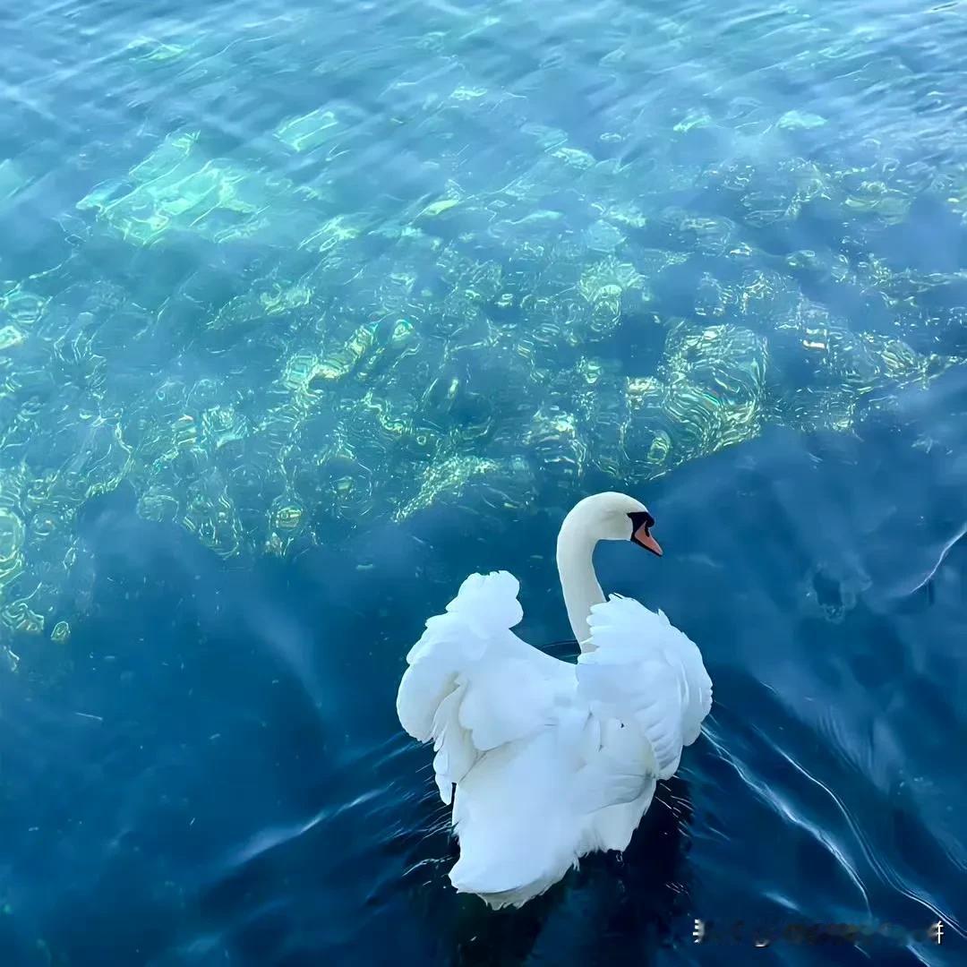 人都是靠不住的，想想，你连自己自己几点起床，几点睡觉，玩多长时间手机都决定不了，