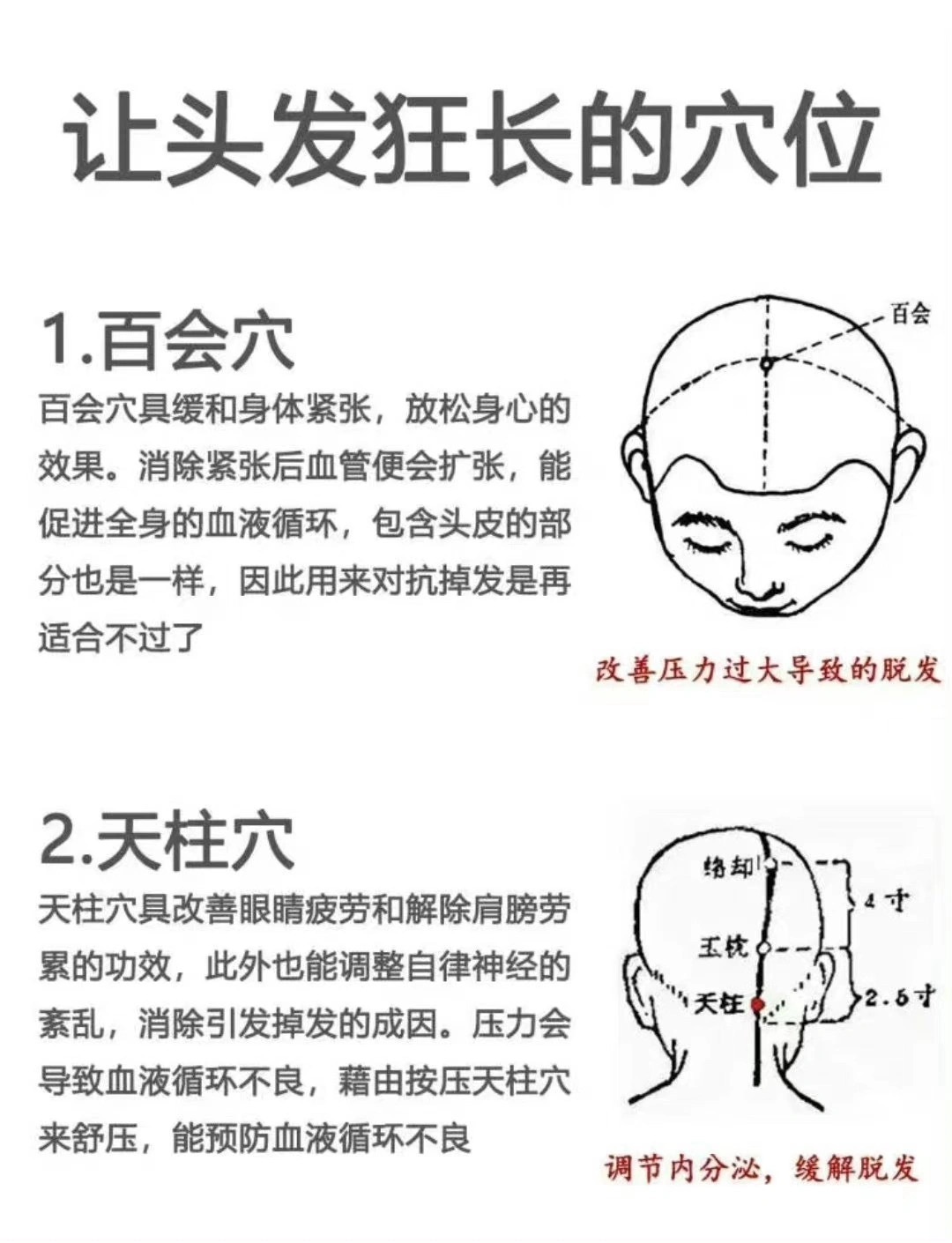 让头发疯狂长的穴位！ ​​​