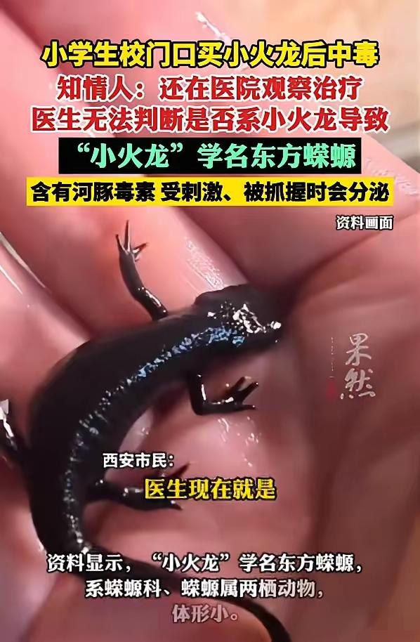 担心的事还是发生了！西安小学生校门口花1块钱买的“小火龙”，

玩完直接呕吐住院