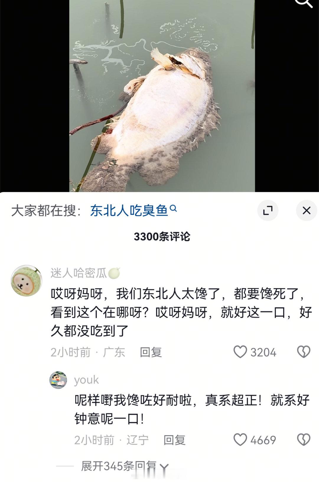 南北魔法对轰，乃为艺术！ 