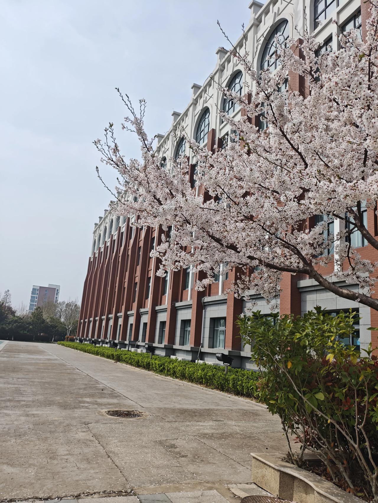 带定位晒今日生活 又到了乱穿衣服的季节，今天状态超轻松愉快！外面阳光灿烂，是个大