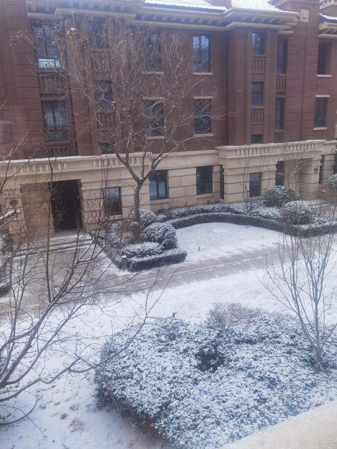 呀，下雪了，希望是个好兆头，我先出去买个早点～ 