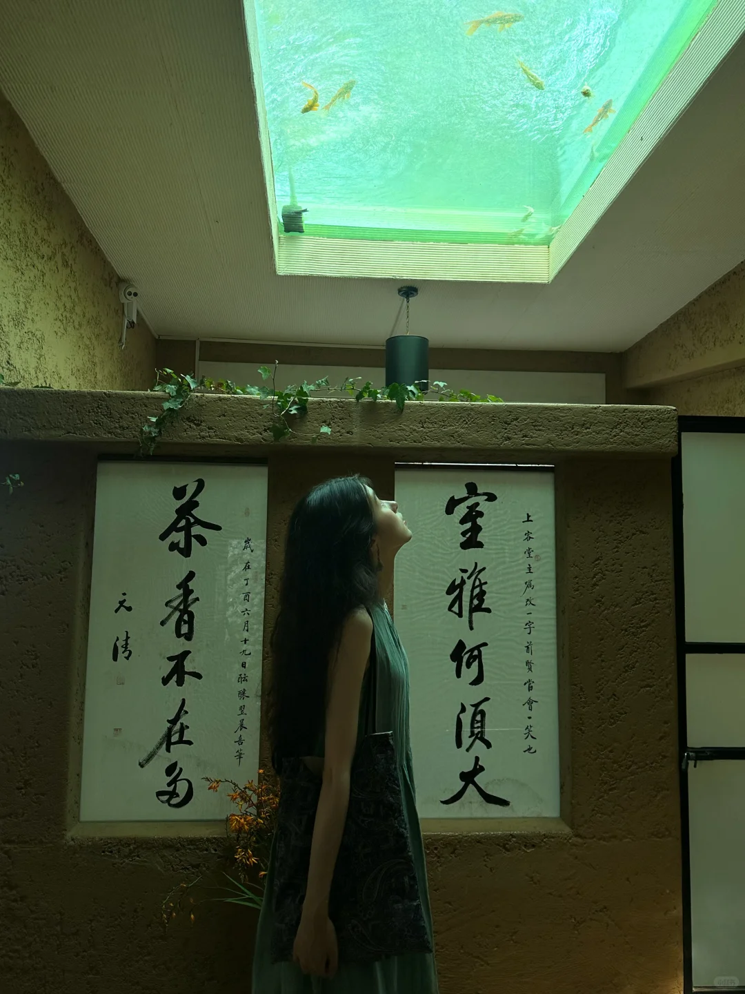 又见寂照庵🌿