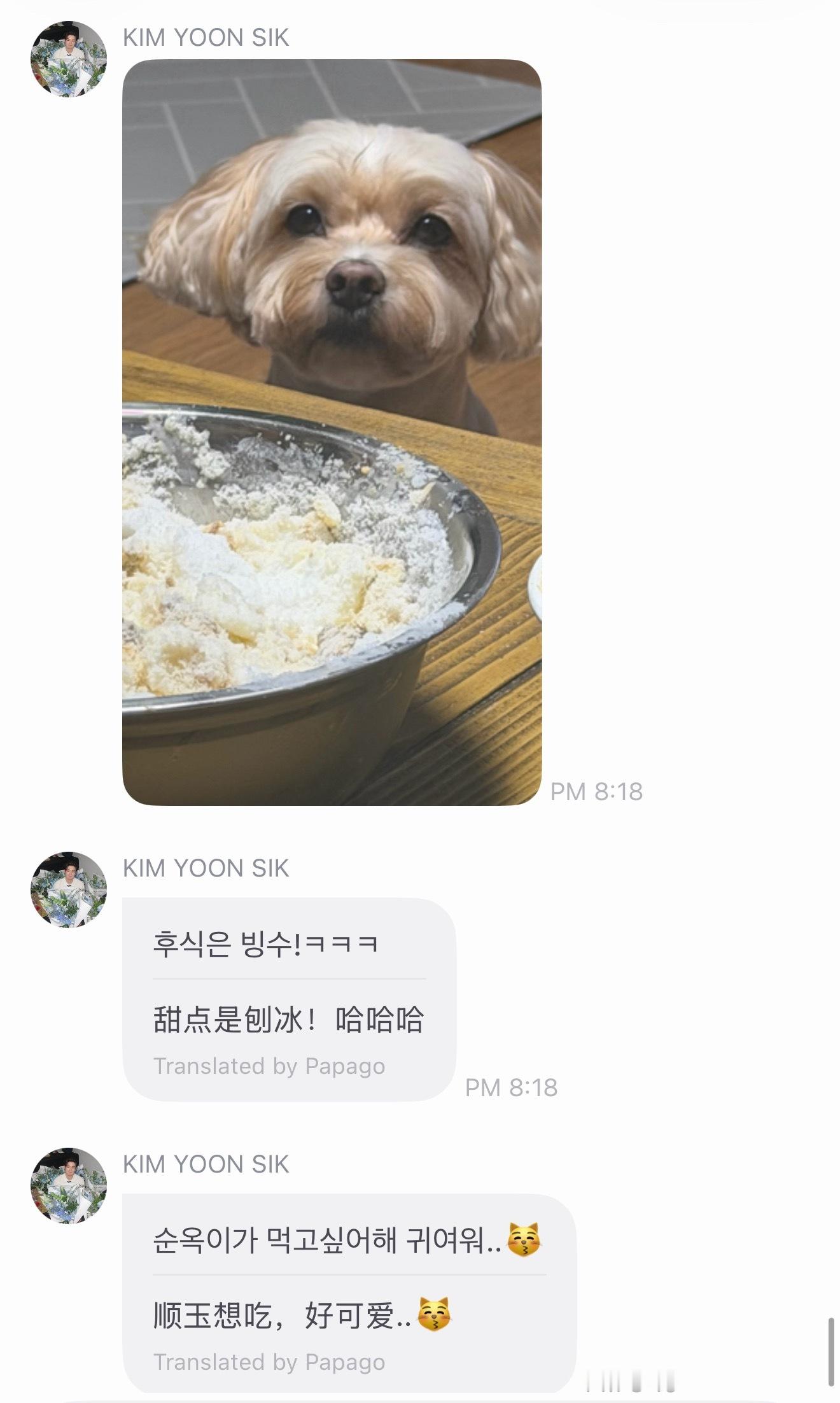 已被萌晕…果然什么样的主人养什么样的狗狗啊 ​​​