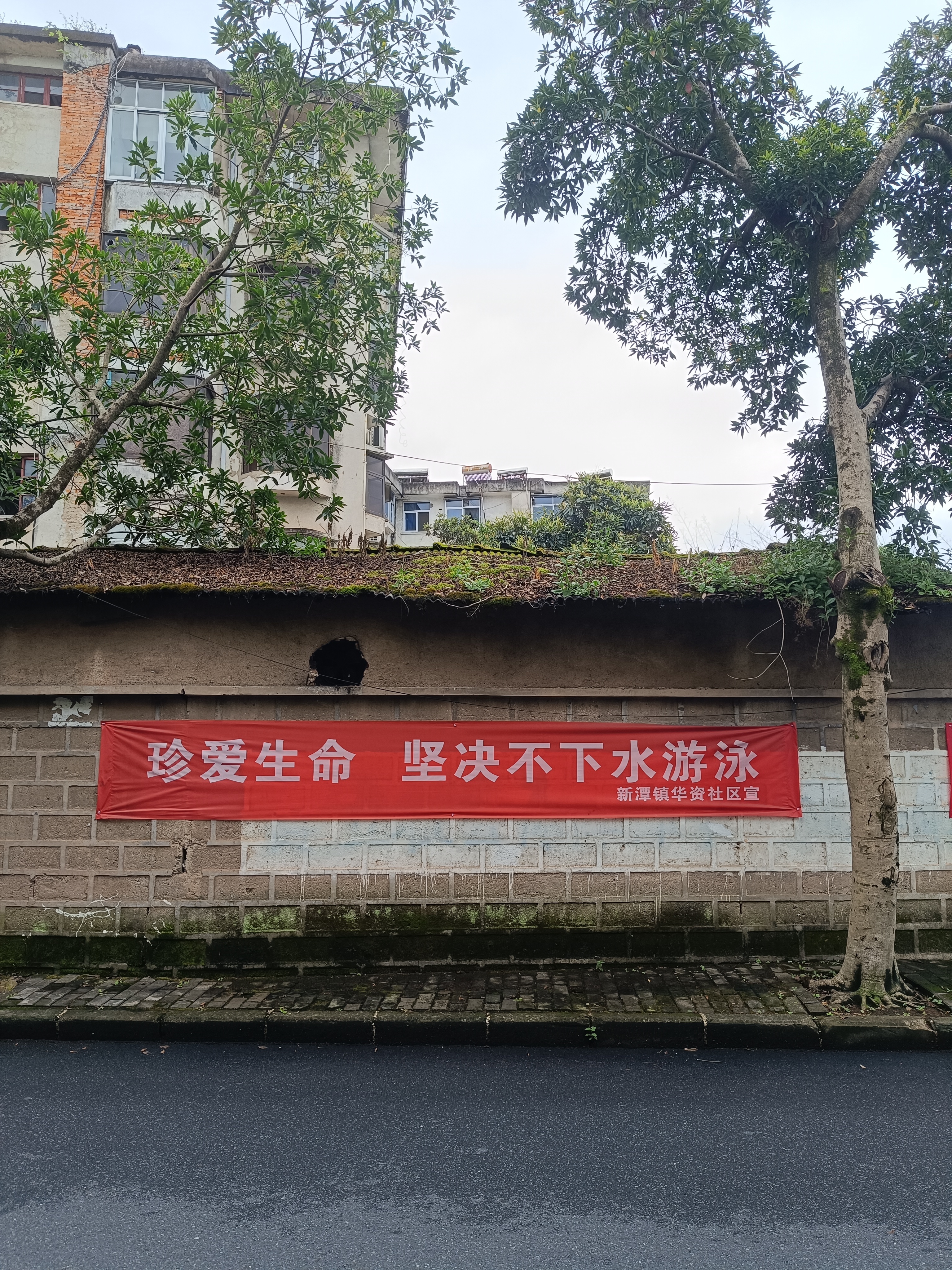 2023年，大流行刚刚平息，我有一个月在省内各县城游荡，就像现在这样。去到山区看