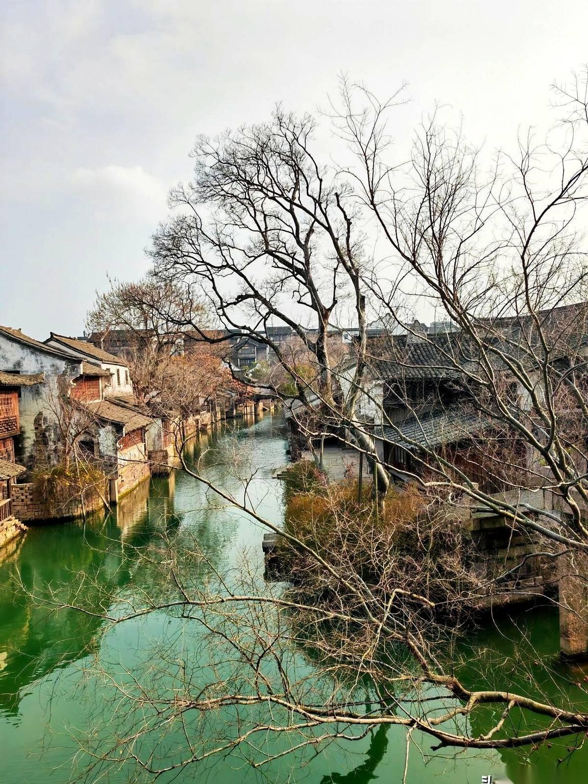 讲台站了一辈子，头发都白了。
就为了评个“高级”职称，还得颤颤巍巍地去上公开课。