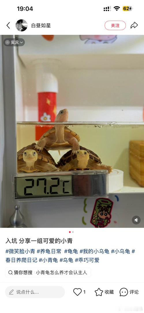 叠乌龟～ ​​​