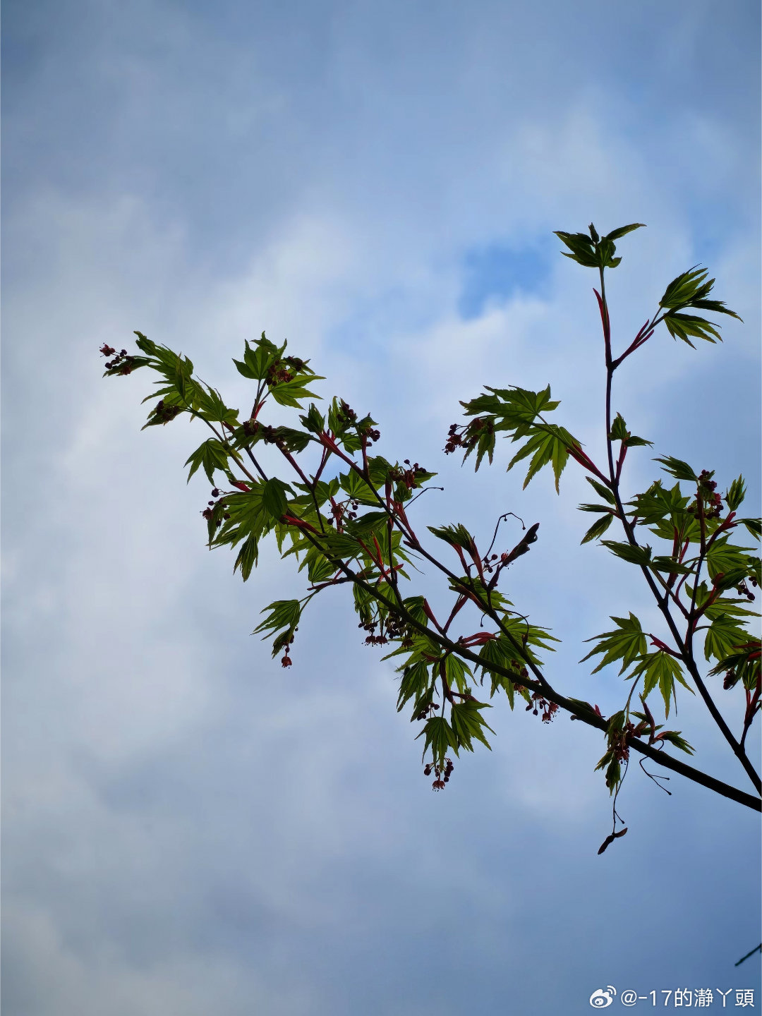 🍃²⁰²⁶/₀₃👋🏻𝗛𝗲𝗹𝗹𝗼𝗼𝗼𝗼𝗼 𝟯月·͜· ᐝ