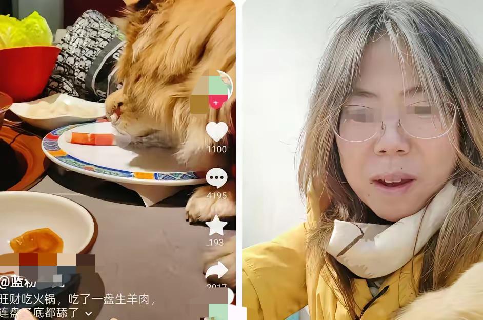 女子带狗上桌吃涮肉后续：女子删视频，店铺决定索赔，评论区炸了
几百万的赔偿单砸脸